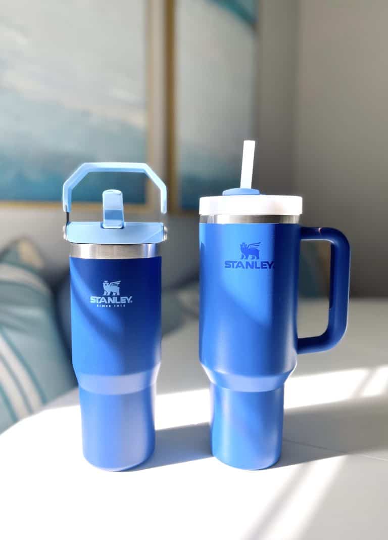 blue stanley tumblers